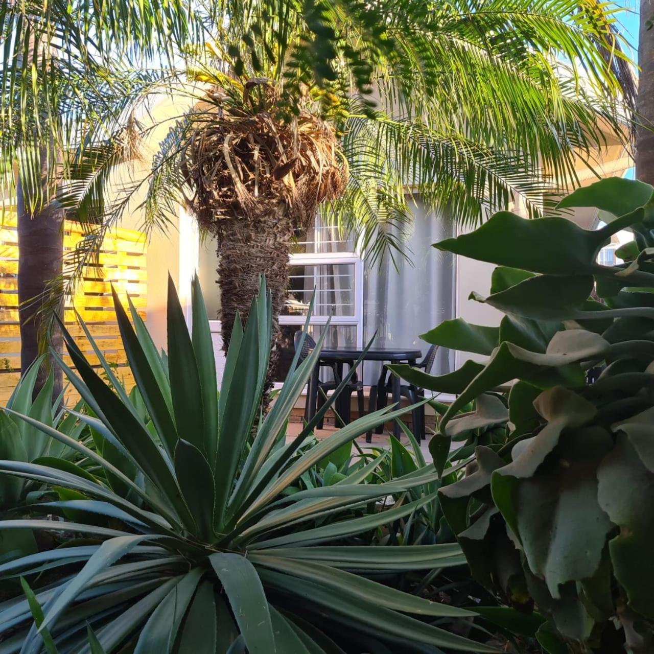 Mads Place Cape Town